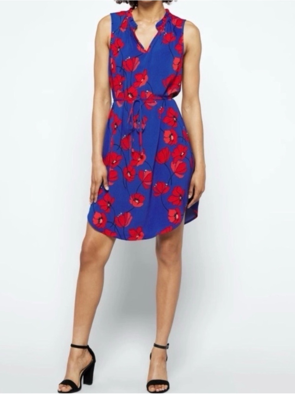 Market & Spruce Royal Blue Sleeveless Shift with Red Floral Print
